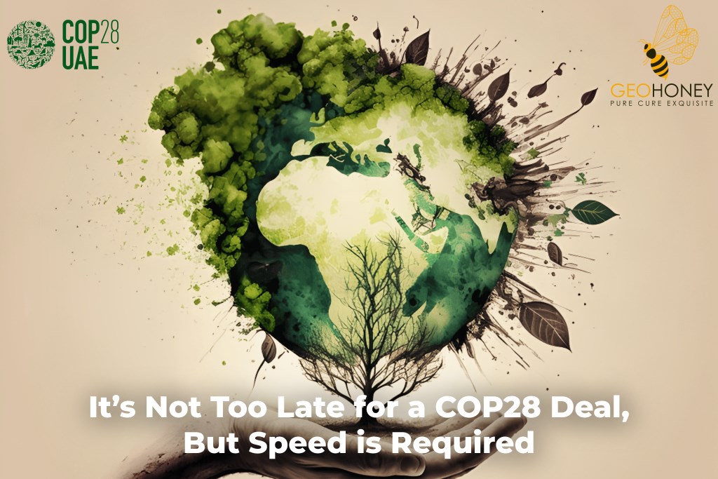 The critical stage of the COP28 climate change summit in Dubai, highlighting the need for urgent action to address environmental challenges.